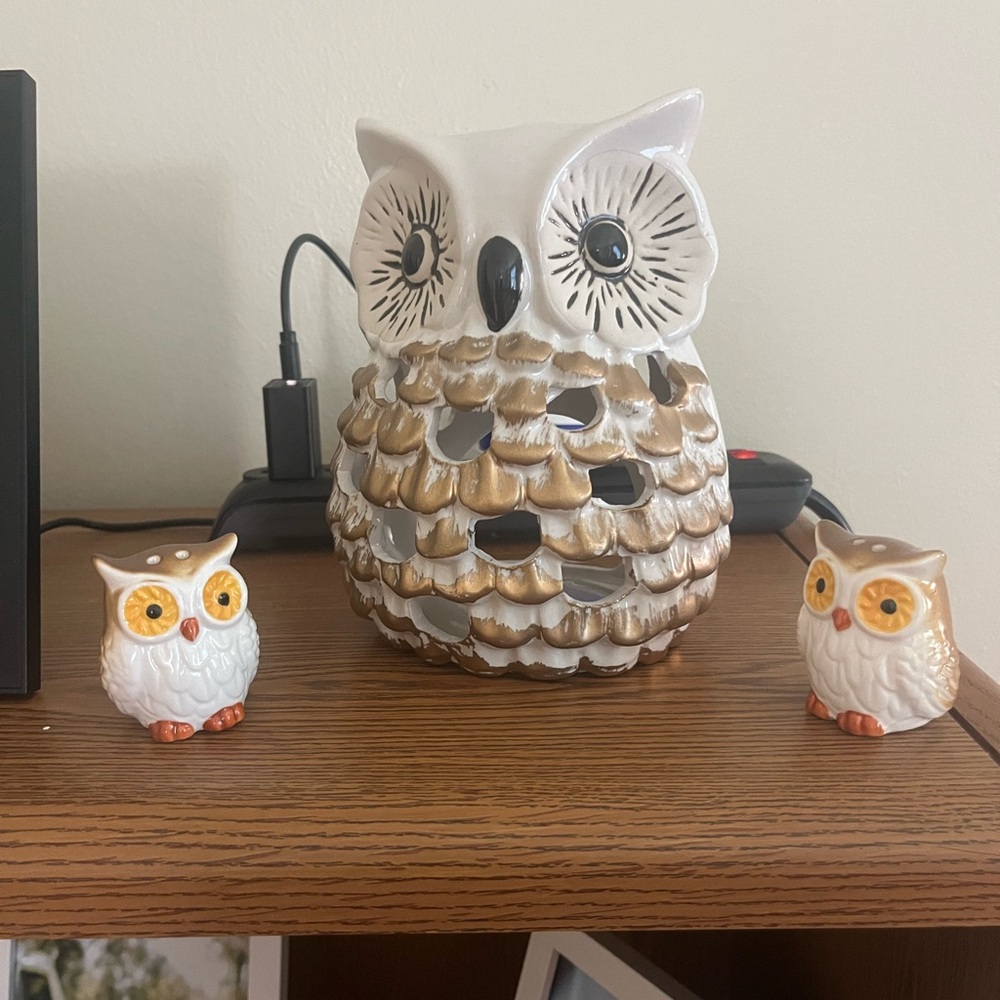 OWL’s Ceramic tea light Set in White and Gold and salt/pepper shakers - Picture 1 of 1